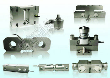 防爆稱(chēng)重模塊